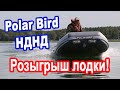 Обзор надувной лодки ПВХ Polar Bird НДНД! Overview of the Polar Bird PVC Inflatable Boat!