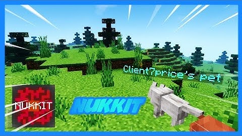 Mencoba Software Nukkit | Plugin Nukkit