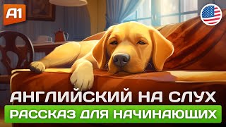 Lazy Dog 🎧 Рассказ на английском для начинающих (А1-А2)