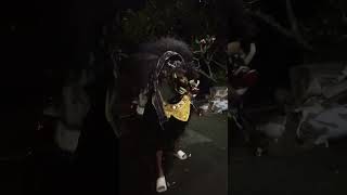 barong bangkung #barong #bali #bangkung #galungan #kuningan