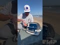 Cooking Sausages on the Beach with a GoSun Go Portable Solar Oven