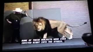 Opening to Aladdin 1993 VHS