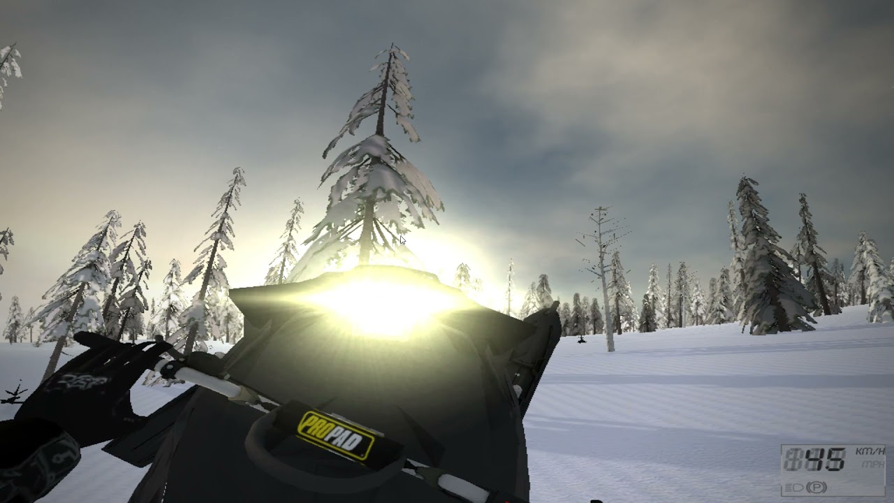 sled simulator in 2021