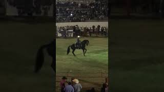 El tepehuaje jal Mexico