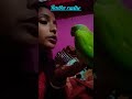 radhe radhe #parrottalking #funny #shortvideo #viral