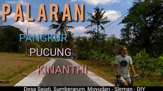 PALARAN PANGKUR PUCUNG KINANTHI - GENDING JAWA KLASIK - UYON UYON JAWA - DESA SEJATI MOYUDAN SLEMAN