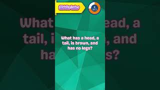 Head, Tail, Brown, No Legs: What Am I? 🦴👤 #riddles #brainteasers #riddle #brainchallenge screenshot 4