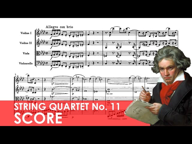 Beethoven - Quatuor à cordes n°11 "Quartetto serioso"-Arrgt pour orch. à cordes de Mahler: 1er mvt : Orch Auvergne / R.Forés Veses