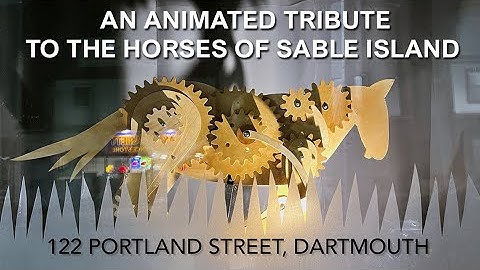 Sable Island Horses - An Animated Holiday Window Display