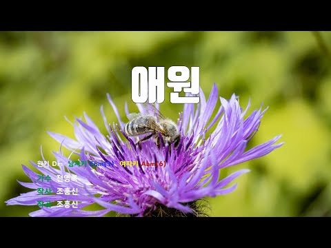 은성 반주기 애원 전영록