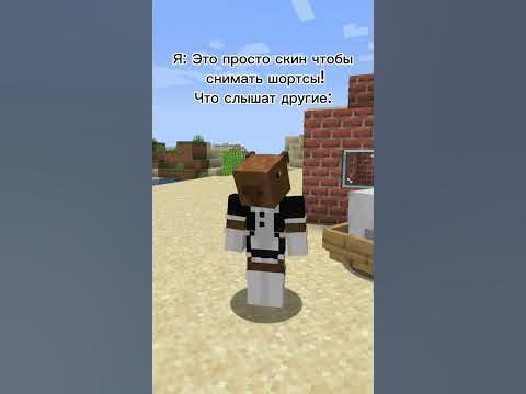Про мой скин #капибара #майнкрафт #shorts - YouTube