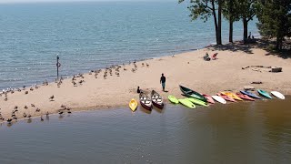 Rouge valley beach is considered one of toronto's more quieter
beaches. it's located in the national urban park and a hot spot for
swimming, canoein...