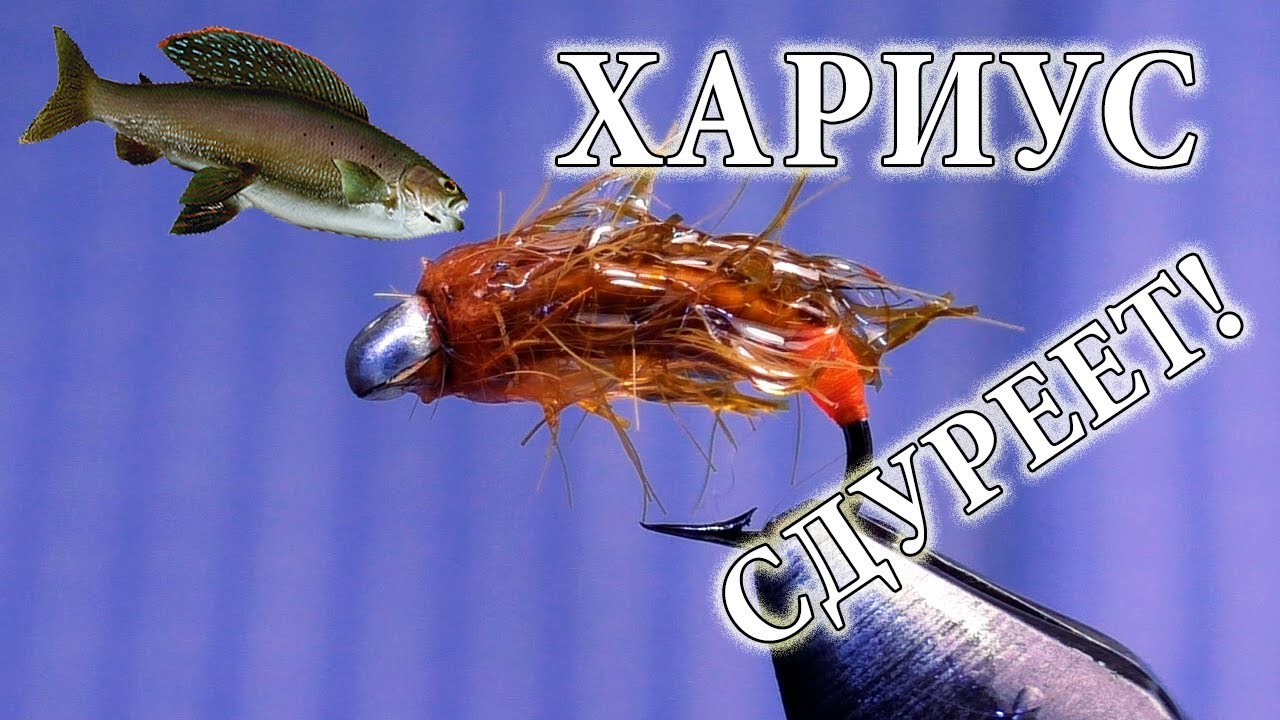 Сибирский Лов Интернет Магазин Павел Горохов Материалы