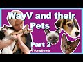 WayV and their pets being a mess | Part 2