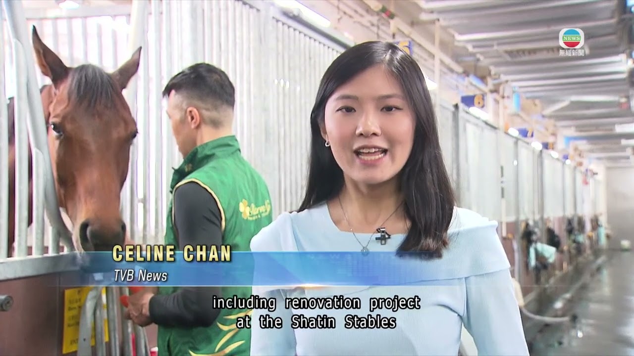 Взгляд на то, как Жокейский клуб тренирует лучших скаковых лошадей | Новости TVB | 18.02.2026