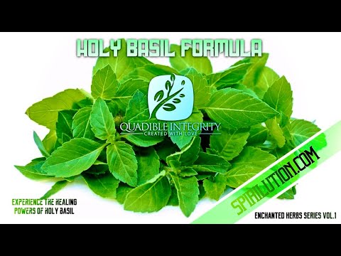 Video: Green basil: varieties, cultivation, kapaki-pakinabang na mga katangian