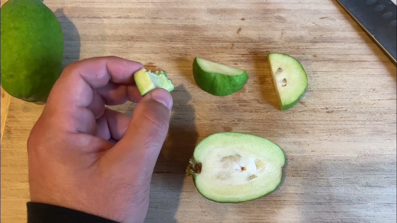 Oregon grown Pineapple guava taste test YouTube