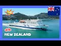 NEW ZEALAND: Amazing ferry ⛴️ trip, from North (Wellington) to South (Picton) Island