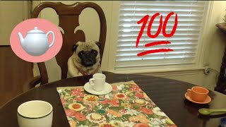 100 Subscriber Tea Party