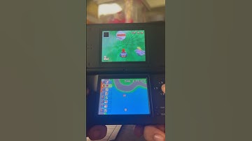 Dokan  Course (Mario Kart DS Kiosk Demo)