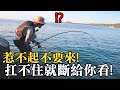 【C&C】紅燒開旗白毛 !! 但是這裡的魚超級兇殘，想牠吃可沒有那麼容易... |2020/08/16