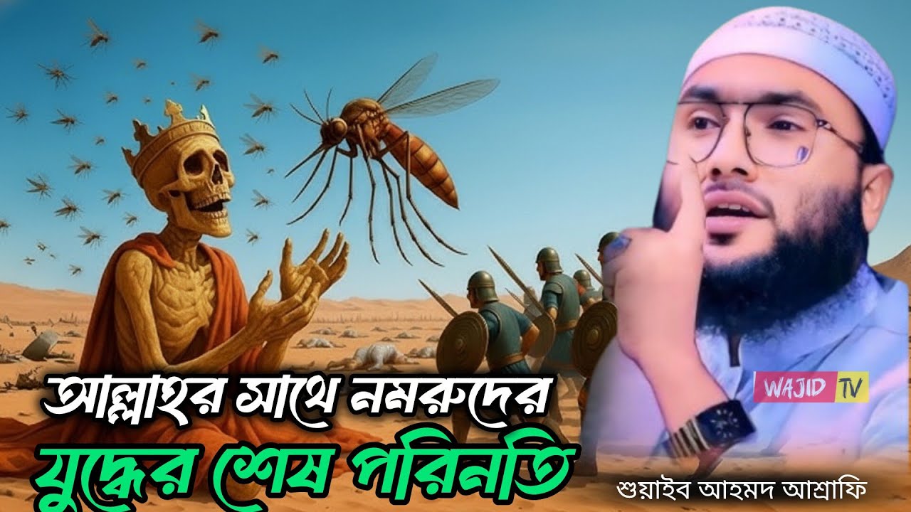 আল্লাহর সাথে নমরুদের যুদ্ধের শেষ পরিনতি || ক্বারী শুয়াইব আহমদ আশ্রাফী || Qari Shuaib Ahmed Ashrafi  