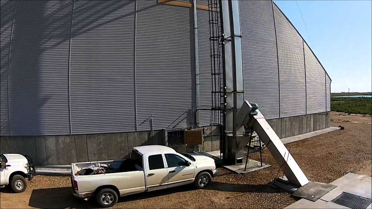 Skyland Grain 8 20 15