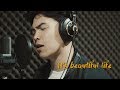 Beautiful  crush goblin ost english translation and cover by daryl ong