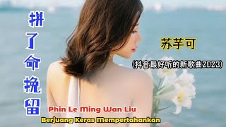 苏芋可 - 拼了命挽留 (抖音最好听的新歌曲2023) Phin Le Ming Wan Liu【Berjuang Keras Mempertahankan】- Lirik Terjemahan