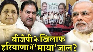 यूपी के बाद हरियाणा में भी बीजेपी के खिलाफ बना गठबंधन INDIA NEWS VIRAL