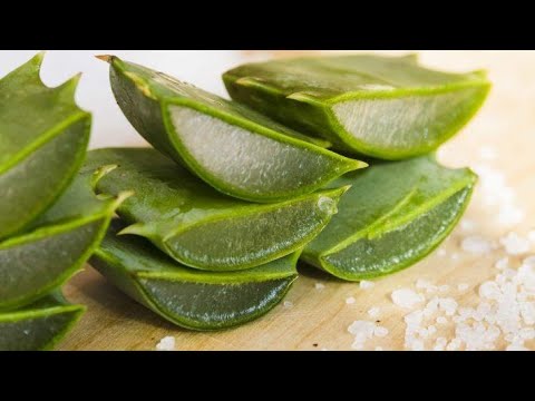 Vídeo: Aloe Vera Para Erupções Cutâneas: Pesquisa, Eficácia E Muito Mais