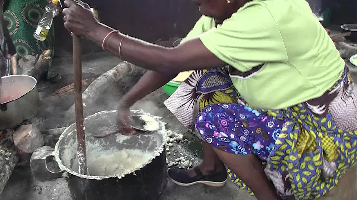 Introduction to ZASP (Zambian Association for Sustainable Projects)