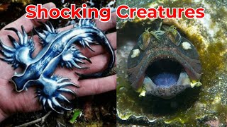 Journey into the Unknown: 5 Mind-Blowing Alien Creatures Exposed