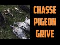 CHASSE PIGEON ET GRIVE