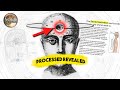 The Sacred Secret - “It’s time to activate your God Self” | Pineal Gland Activation