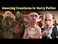 Amazing Creatures in Harry Potter | Explained in Hindi