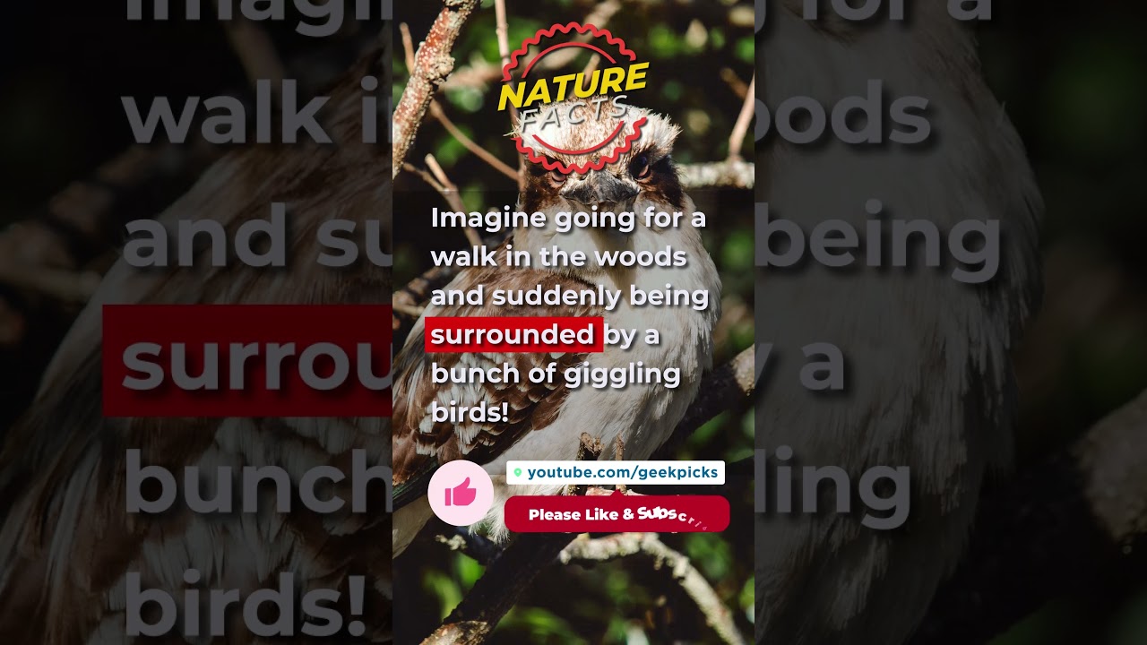 The Weird and Wonderful World of Nature Facts! 