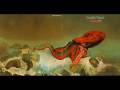 Gentle Giant - Knots