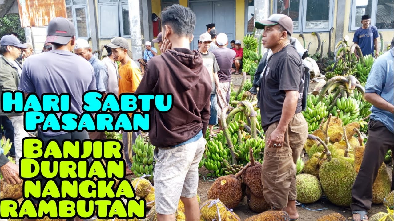 Akhirnya Bulan Februari Cek Harga DURIAN Dan Buah Lainnya di pasar buah Pasrepan kabupaten Pasuruan 