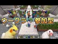 内装建築バトル！！【ウーマイクラ参加型】