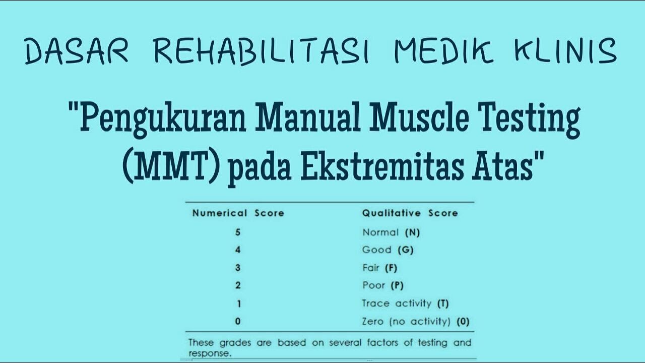 mmt