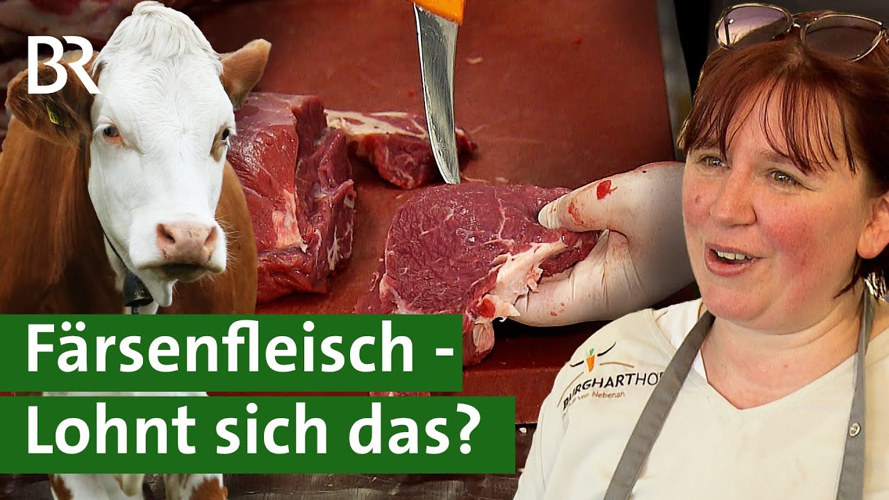 Glücklichste Rinder: Kann man sich das Fleisch noch leisten? | Galileo | ProSieben