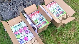 видео: Посылки с гортензиями от Веры Глуховой! картинка: Посылки с гортензиями от Веры Глуховой!