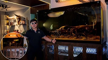 Về thăm HỒ CÔNG NGHỆ "CHÂN SÉT" ĐỘC LẠ set layout cổ điển chơi Cá Săn Mồi tại Quận 7