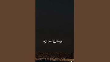 تلاوة خاشعة فنادى في الظلمات