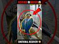 He Saved This Trapped Parrot From Water! 🥺🦜 #shorts