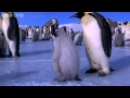 Penguins learn to skate  penguins spy in the huddle  episode 3 preview  bbc one