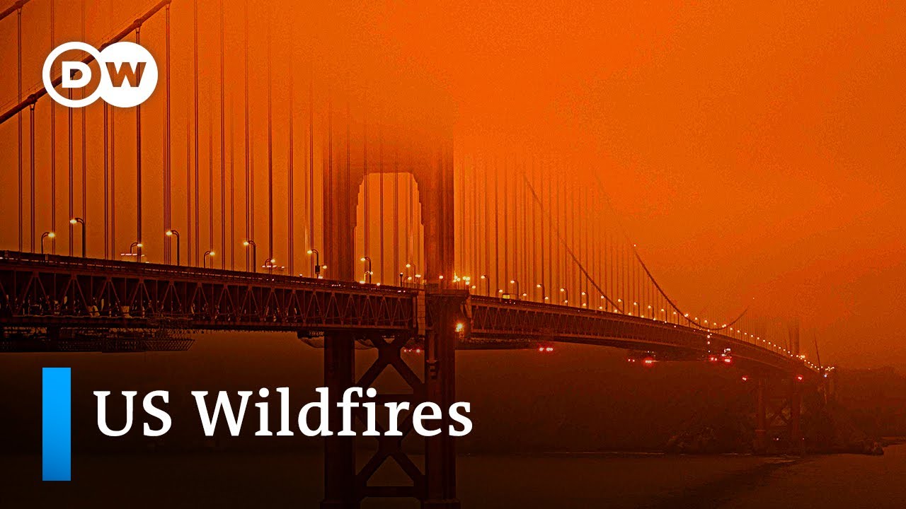 Film backdrop image for Deadly wildfires sweep across US west coast (2020)