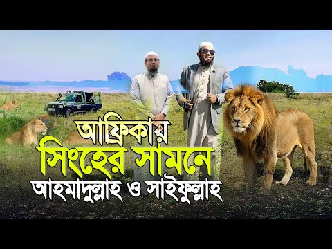আফ্রিকায় বাঘের সামনে শাইখ আহমাদুল্লাহ ও সাইফুল্লাহ! সবাই হতবাক