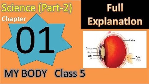 Chapter 1 My Body Science Class 5 DAV Our Living World full explanation (Part-2)